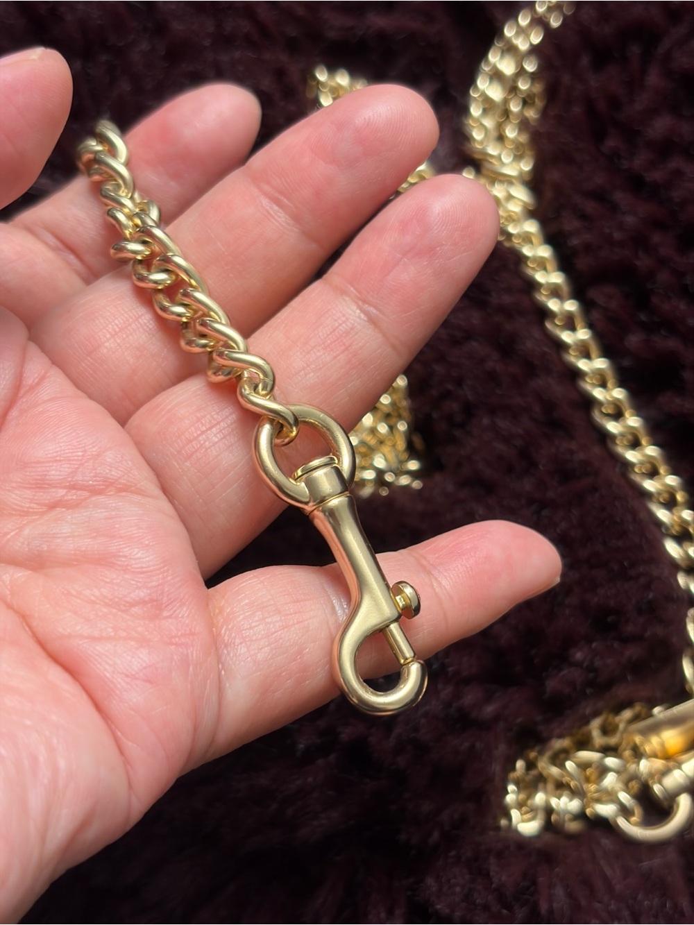 Coach Chain Strap - Picture 4 of 6